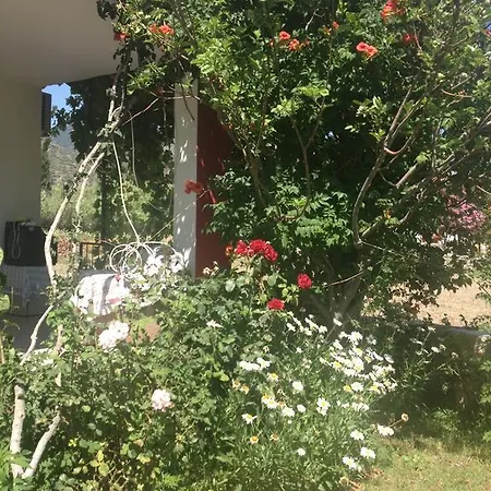 Ilgin منزل للإقامة ميسوديه