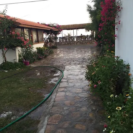 Ilgin ميسوديه