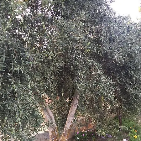 منزل للإقامة Ilgin ميسوديه