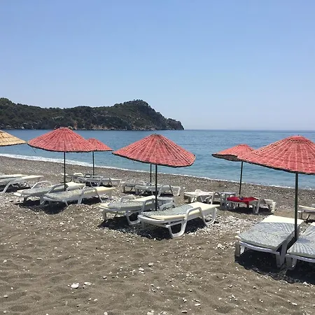 Ilgin ميسوديه