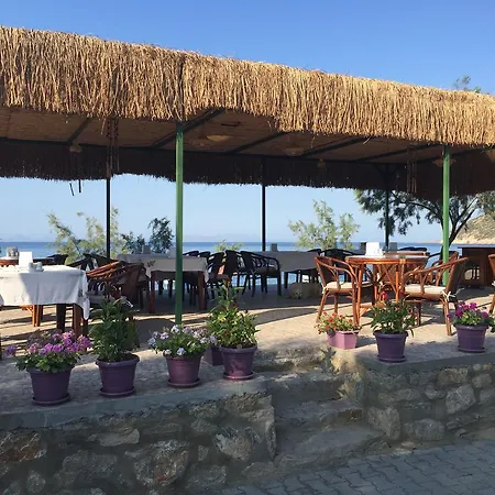 Ilgin ميسوديه