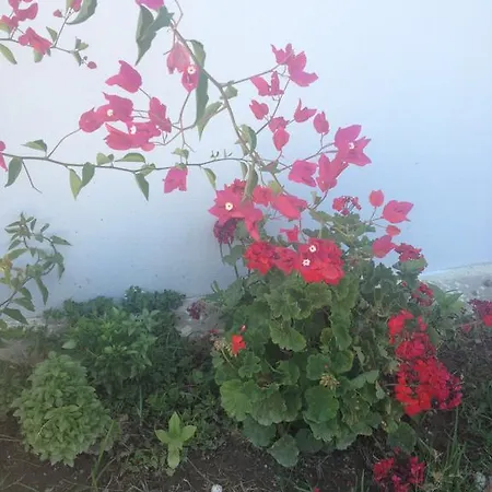 منزل للإقامة Ilgin ميسوديه